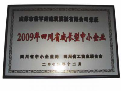 2009年四川省成長型中小企業(yè)